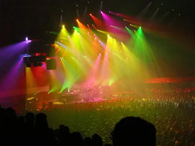 Photo 47