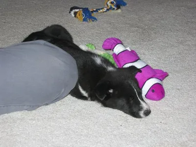 I'm pooped, it's been a long day!