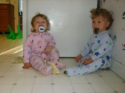 Monkey see, monkey do