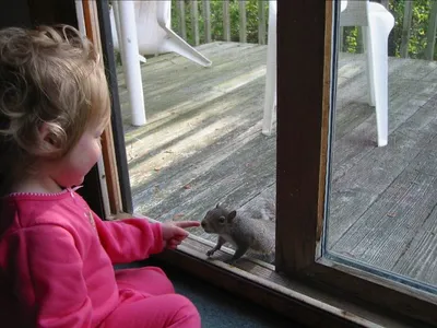 Julie and the Squirrel
