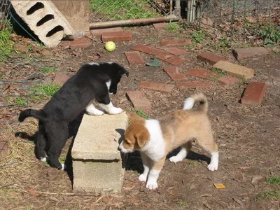 Oliver and his brother.