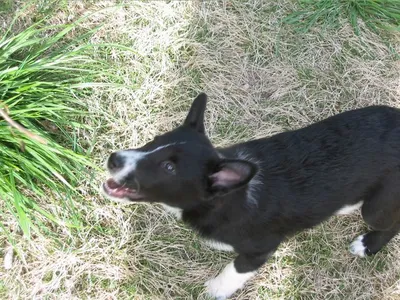 Photo 2