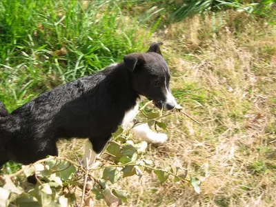 Photo 9