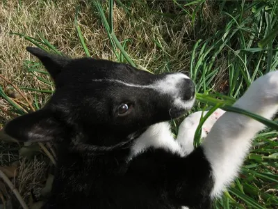 Photo 20