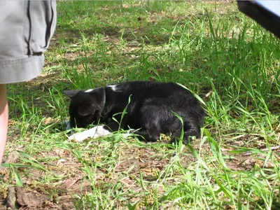 Photo 4