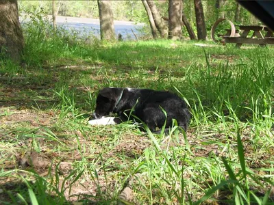 Photo 9