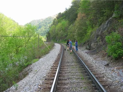 Photo 17