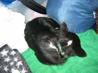 Photo 33