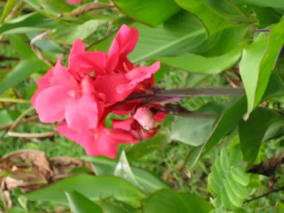 Photo 29