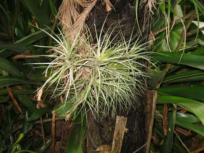 Photo 46