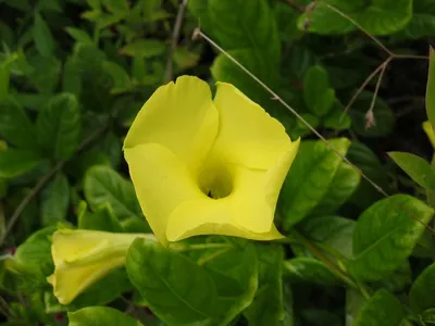 Photo 54