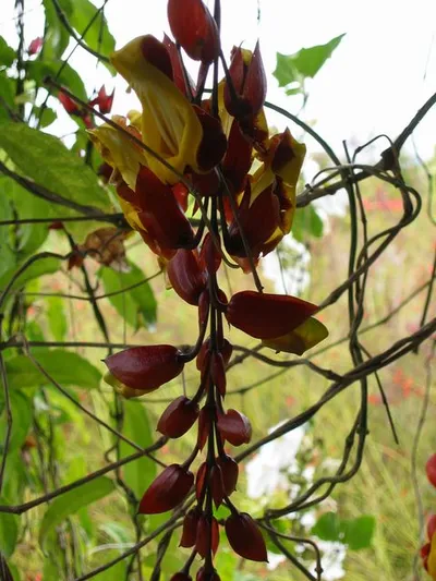 Photo 86