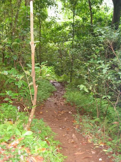 Photo 26