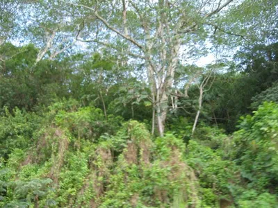Photo 30
