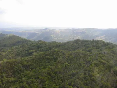 Photo 33