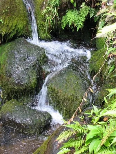 Photo 49