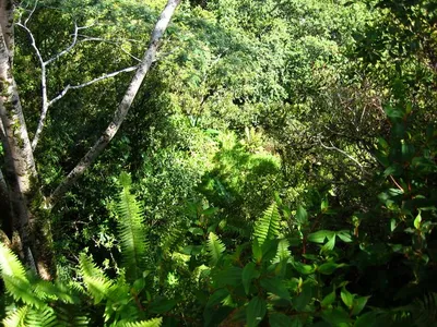Photo 21
