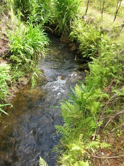 Photo 26