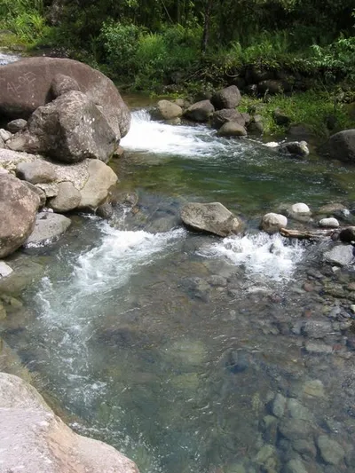 Photo 30