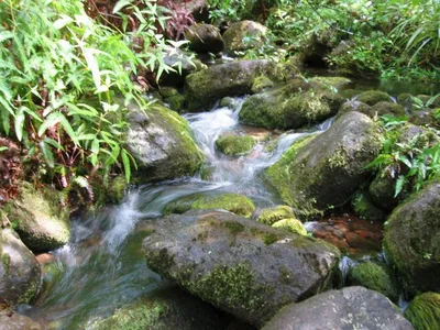 Photo 40
