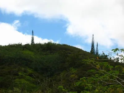 Photo 42