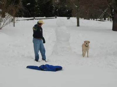 Photo 47