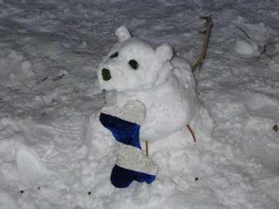 Photo 20