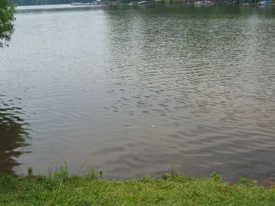 Photo 32