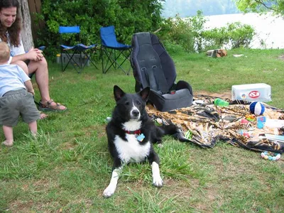 Photo 25