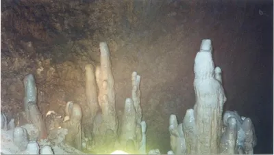 Harrison's Cave - Barbados