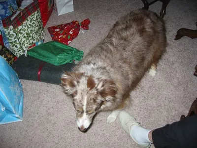 Photo 21
