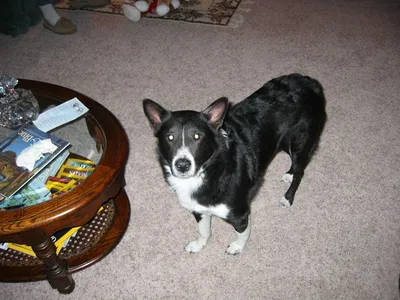 Photo 26