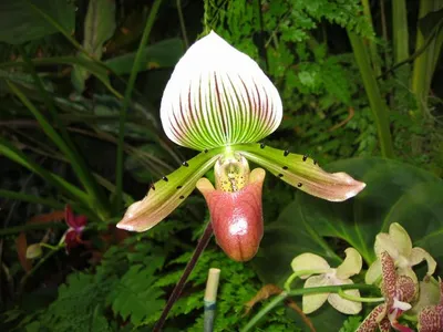Photo 20