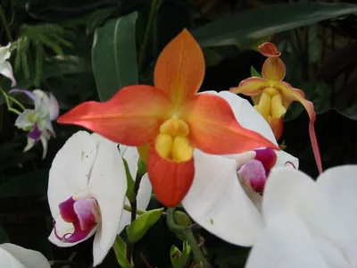 Photo 24