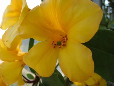 Photo 35