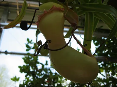 Photo 37