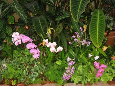 Photo 49