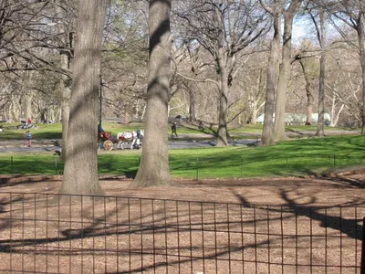 Central Park