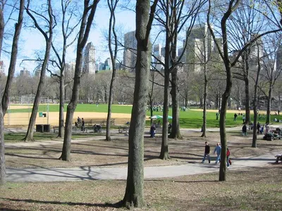 Central Park