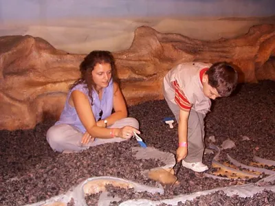Dinosaur Dig
