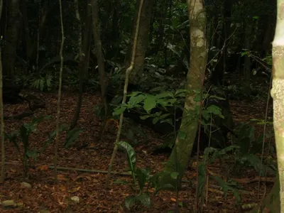 Photo 21