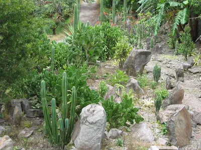 Photo 36