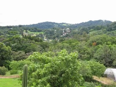 Photo 41