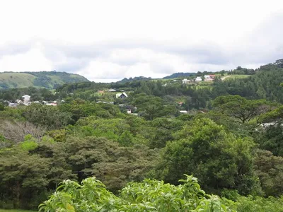 Photo 43