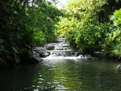 Photo 28