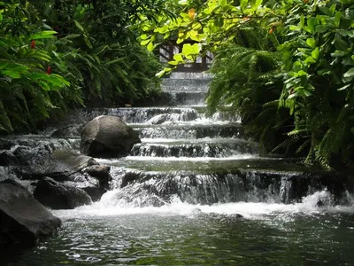 Photo 29
