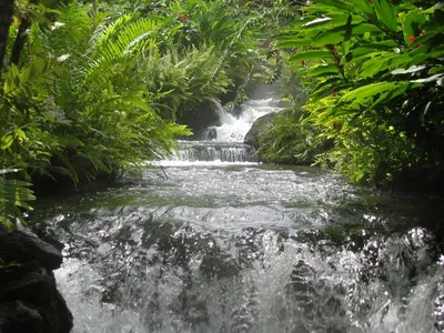 Photo 37