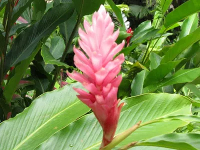 Photo 40