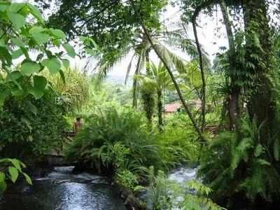 Photo 48