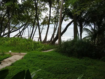 Photo 26
